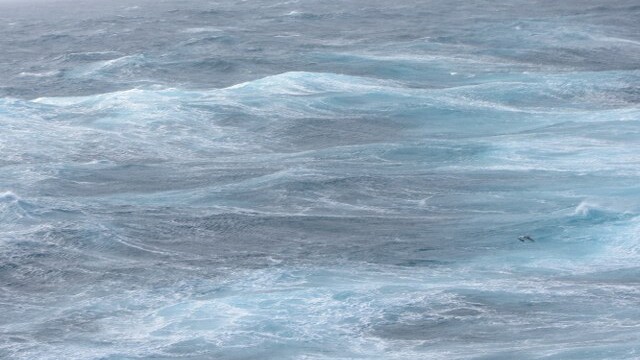 Force 7 winds and 5 metre swells