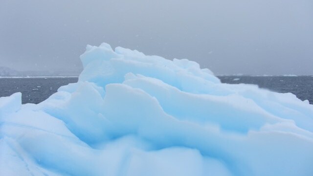 The blue is an optical illusion