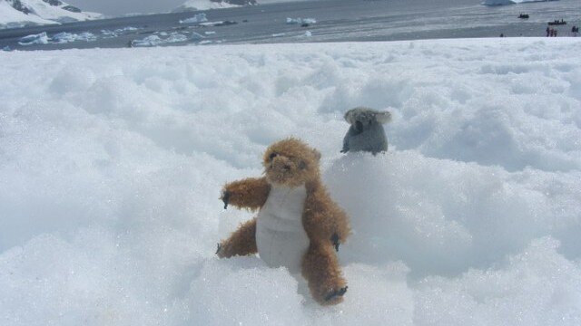 Ken and Millie visited the 7th Continent
