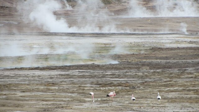 The water breaks through the earth at 85 degrees C!