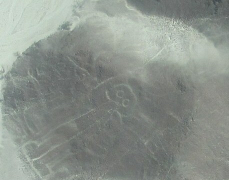 The astronaut